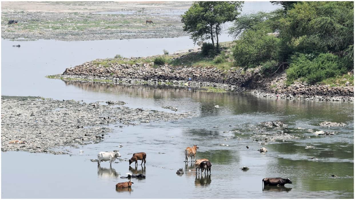 plight of Yamuna Mere talk will not change situation public participation essential to make it pollution-free