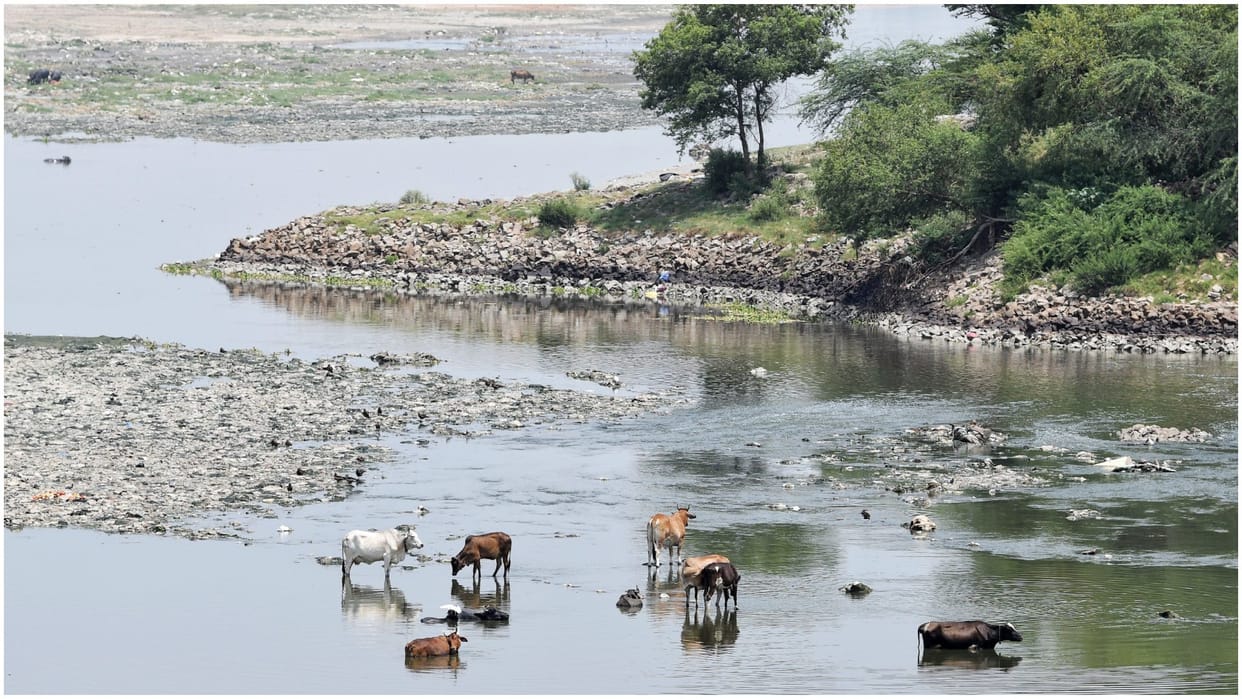 plight of Yamuna Mere talk will not change situation public participation essential to make it pollution-free