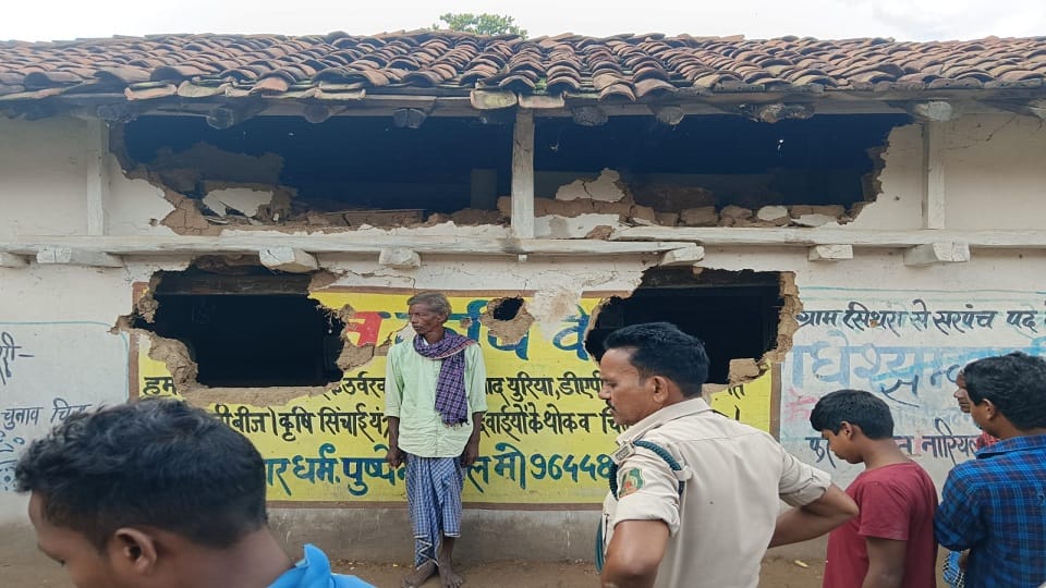 Elephant wreaked havoc by breaking a house killing a cattle as well in Raigarh