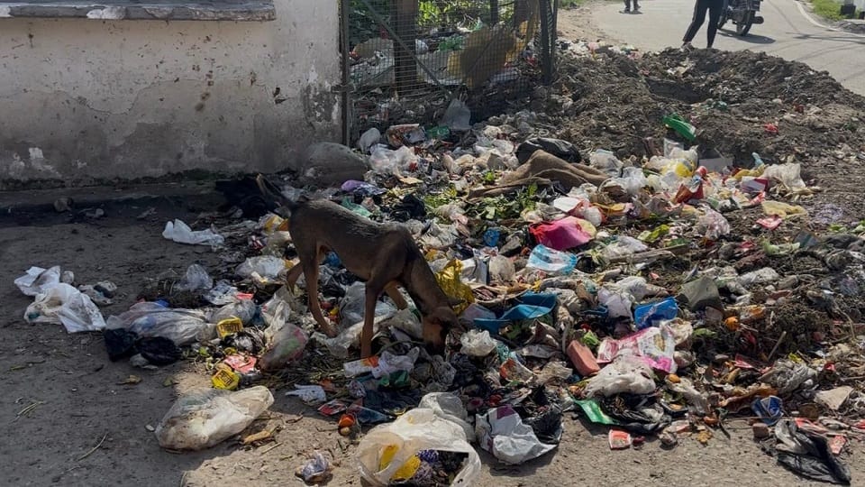 Kashipur was in a worse condition than the municipalities In the Swachh Survey