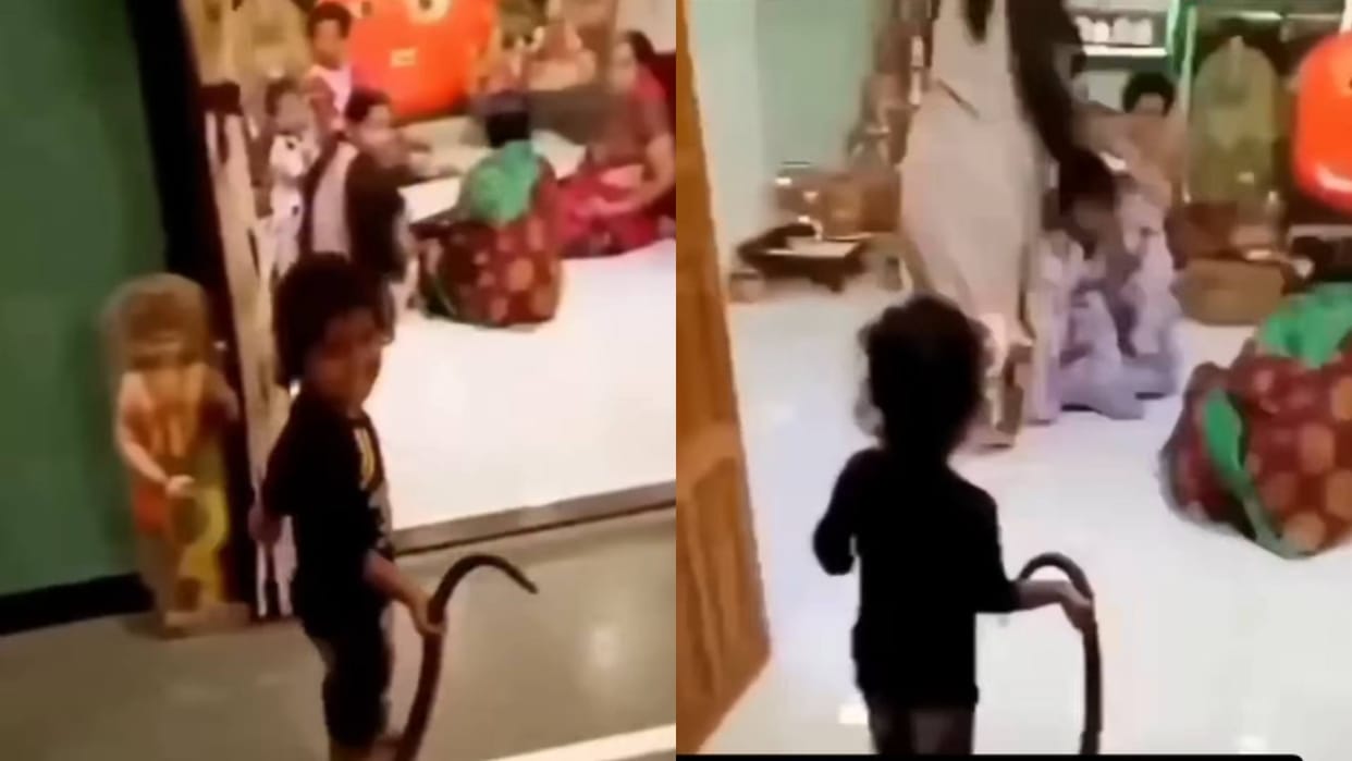 While playing outside a child brought a black snake into house the family members also ran away Video Viral