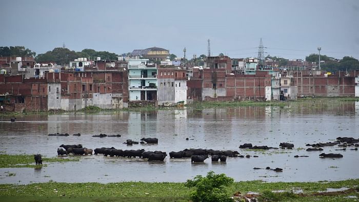 Prayagraj Flood: Ganga-Yamuna water level reached close to danger mark, water entered settlements