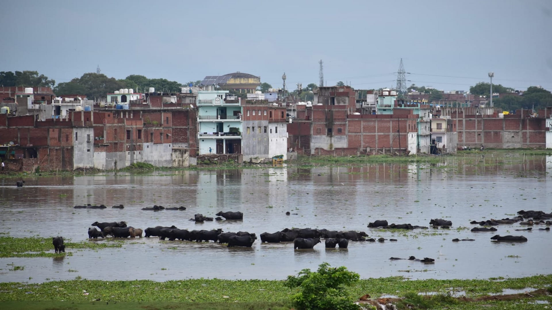 Prayagraj Flood: Ganga-Yamuna water level reached close to danger mark, water entered settlements