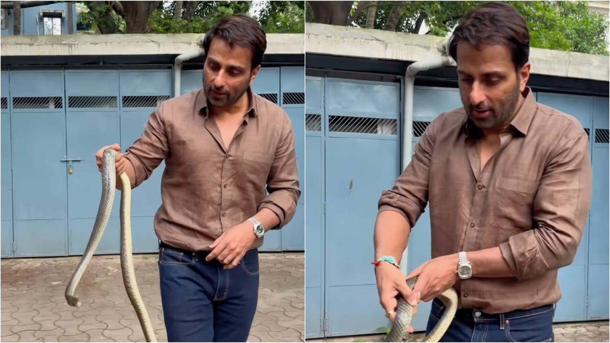Snake found at Sonu Sood society actor shares Safety instructions Of rescuing