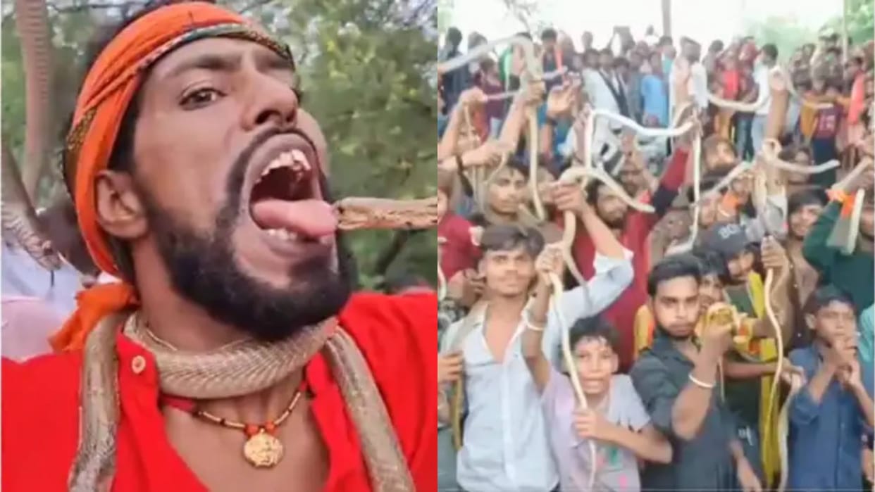Live snakes were kissed hung around the neck children and old people took out a rally of snakes Video Viral