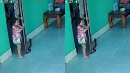 सांप से बाल-बाल बची बच्ची