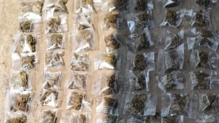 Bihar: दानापुर कैंट में गांजा सप्लाई करने वाला तस्कर गिरफ्तार, संयुक्त कार्रवाई में हथियार-नशीले पदार्थ बरामद