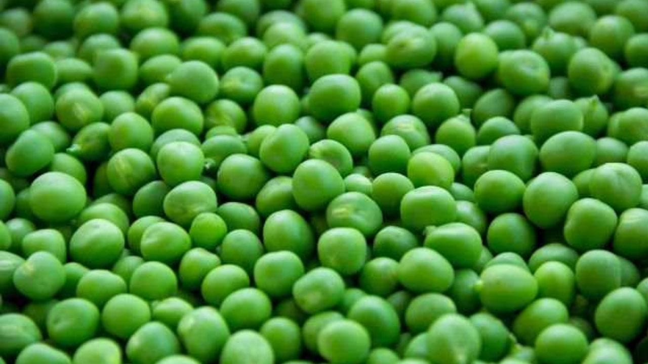 how to store methi and matar for long time in hindi