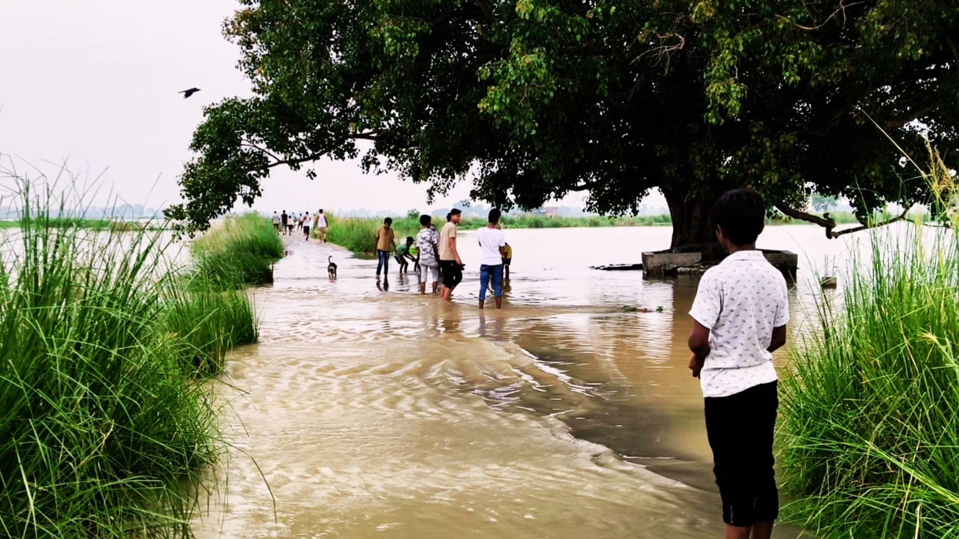Tons river havoc Water entered plains of Ballia many villages lost contact people living on roofs