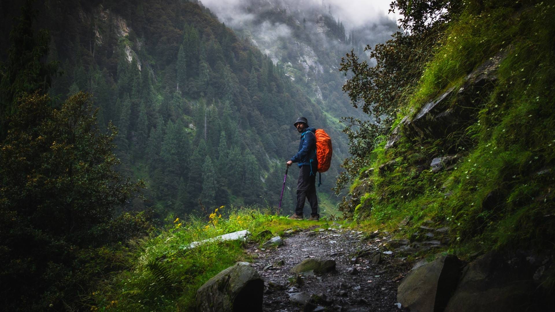 is it safe to go for jungle safari in monsoon season kya monsoon me jungle safari jana chahiye
