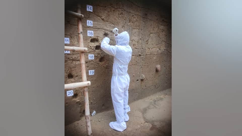 UP News Evidence of Prehistoric Humans Found Near Govardhan During ASI Excavation