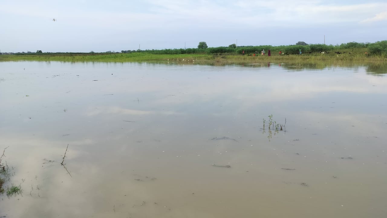 गंगा के जलस्तर में तीव्र बढ़ोतरी जारी