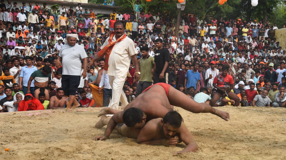 Kanpur: Jallad Singh won wrestling worth Rs. 1.11 lakhs by defeating Shankar with a Dhobi Pachhad move