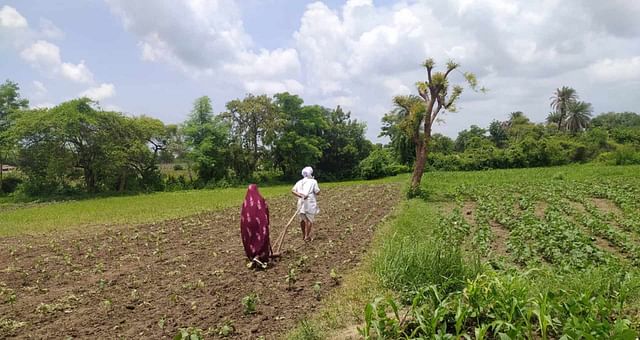 90 year old farmer ploughs field without tractor or bullocks