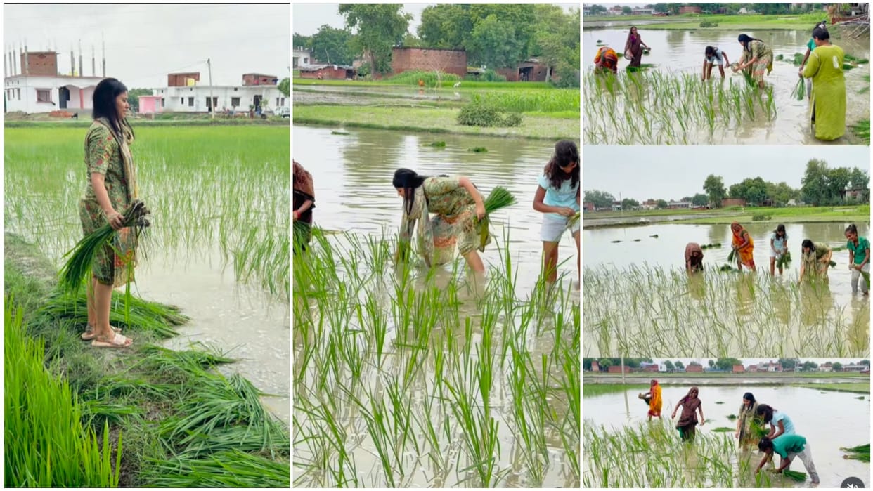 Rinku Singh's Fiance Priya Saroj was seen planting paddy, fans said - Super MP ji; Watch Video
