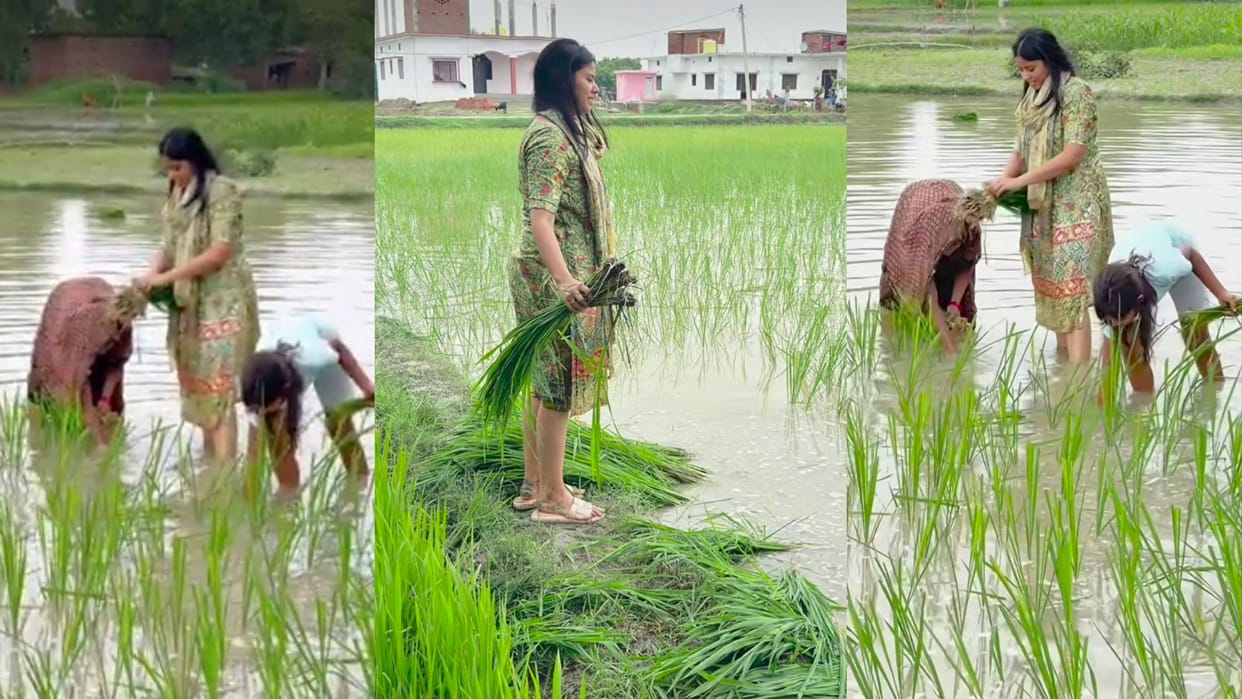 SP MP Priya Saroj planted paddy in jaunpur latest news