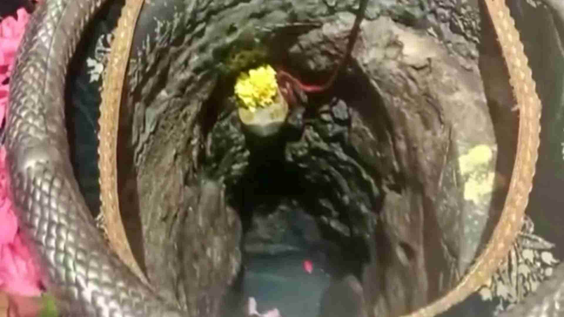 Rajasthan News: The secrets of history are hidden in the five unique Shiva temples of Sirohi