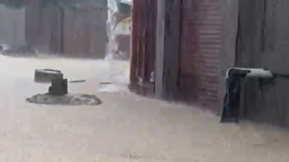 Rain in Punjab sunam moga weather update
