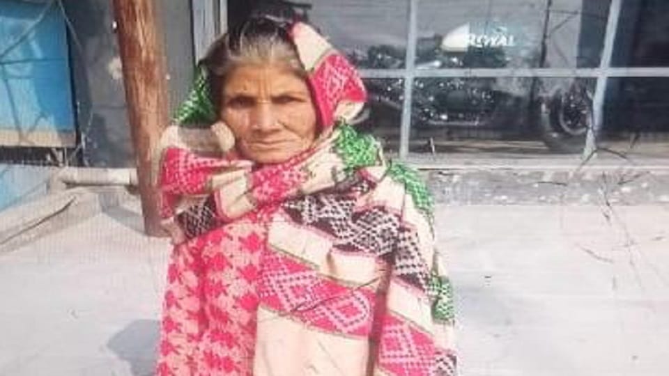 Saharanpur: Hunting dogs attacked a woman, bit her and made her bleed, she died in agony