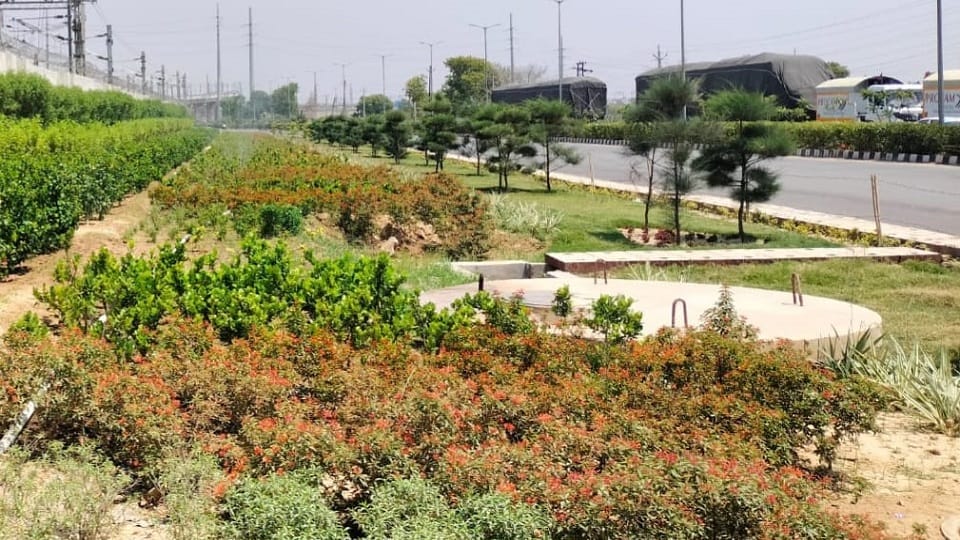 Delhi: 900 pits prepared to collect rain water on Namo Bharat Corridor