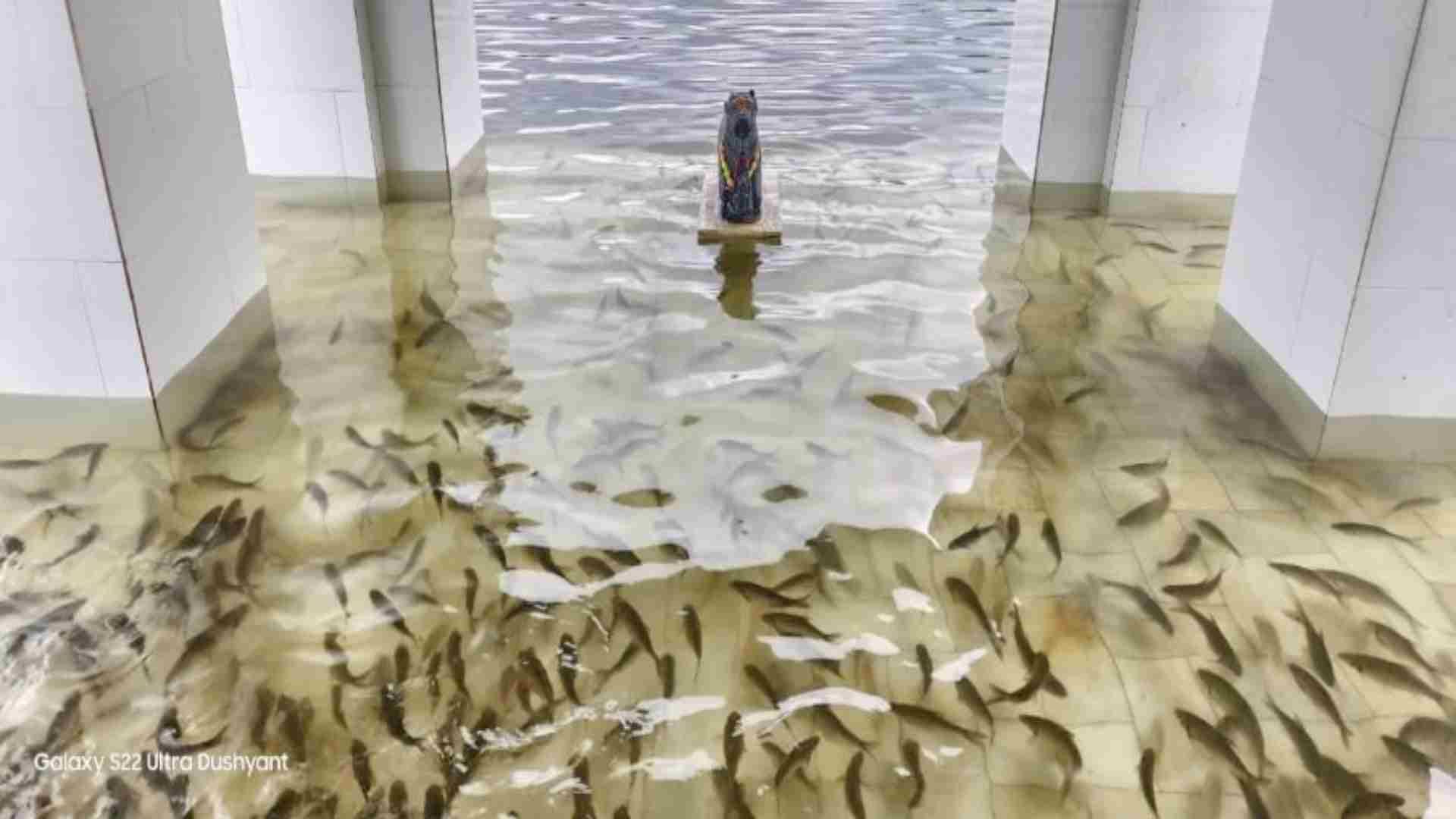 Rajasthan News: Udaipur's Chandreshwar Mahadev temple submerged due to Mansi Wakal dam