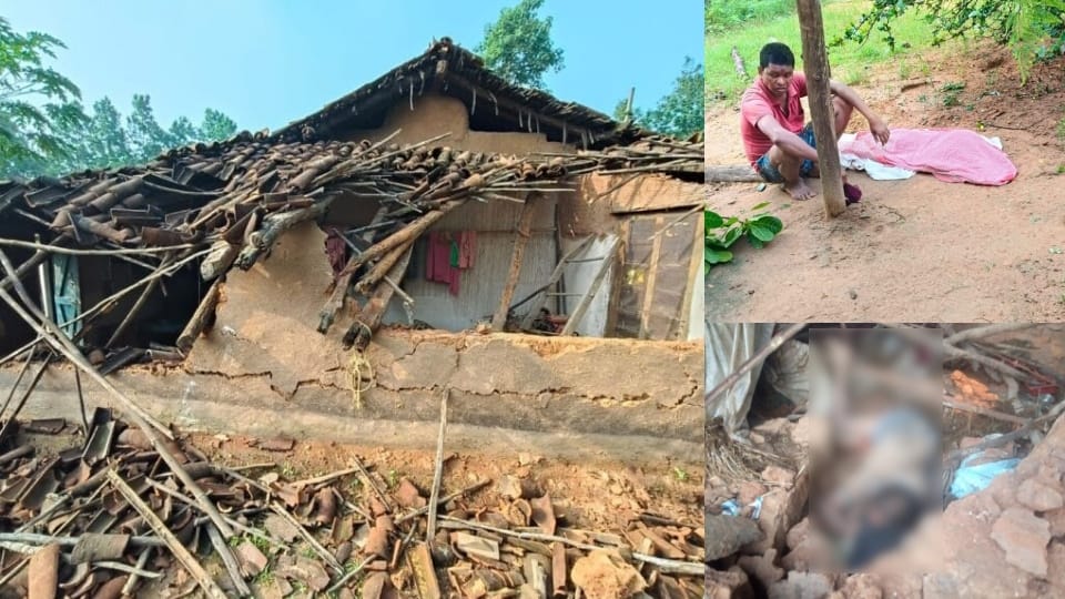 Three people died in elephant attack in Raigarh