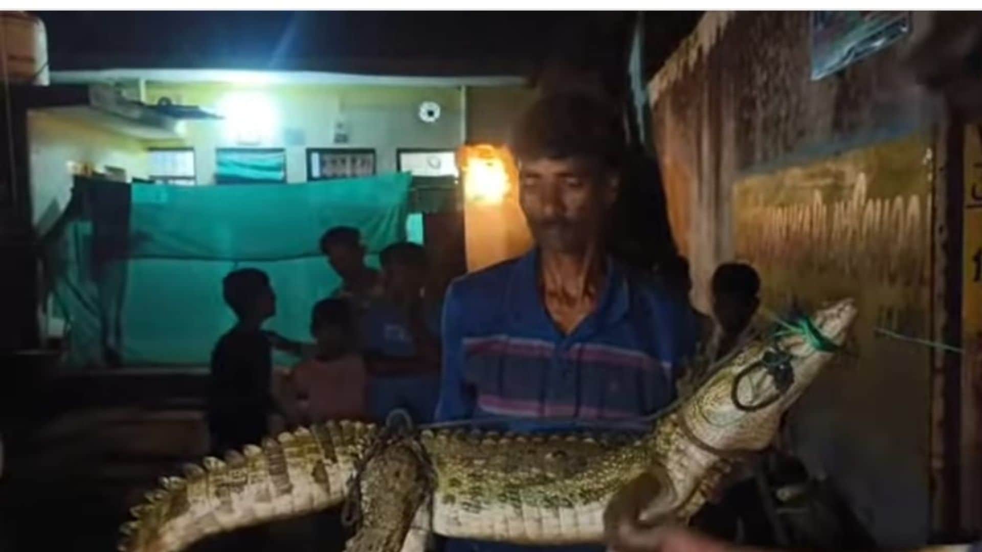 Shivpuri News: Crocodiles Spotted from City to Villages Panic Among People Forest Department Rescued