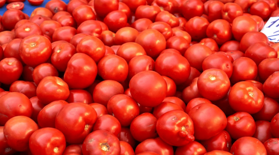 Indore news: Tomato prices double in 3 days, supply drops, farmers blame weak crop