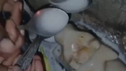 नंदी महाराज ने पीया दूध