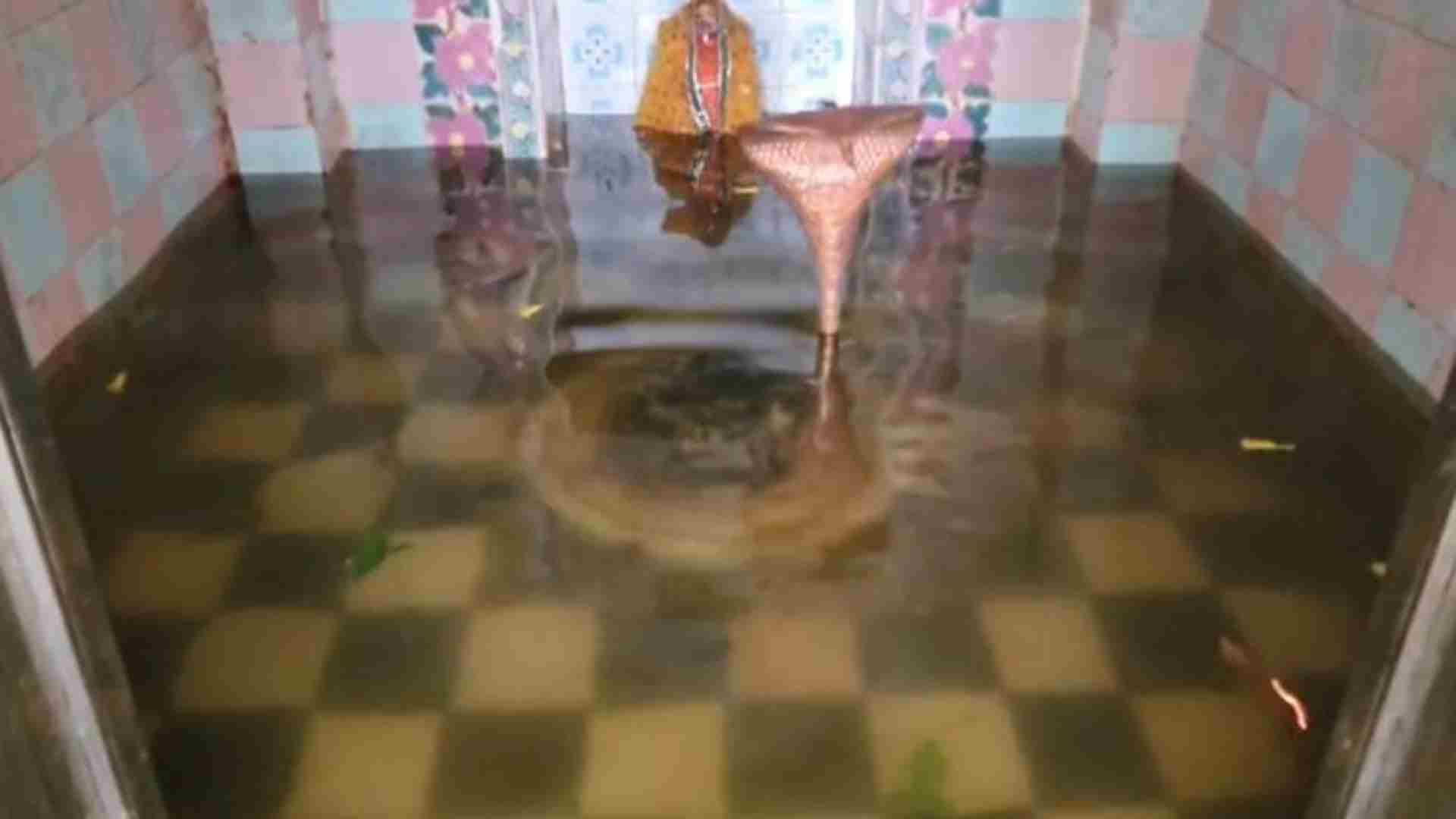 Rajasthan News: Udaipur's Chandreshwar Mahadev temple submerged due to Mansi Wakal dam