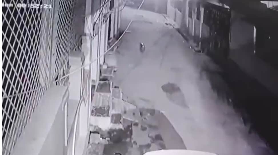 Shivpuri News: Crocodiles Spotted from City to Villages Panic Among People Forest Department Rescued