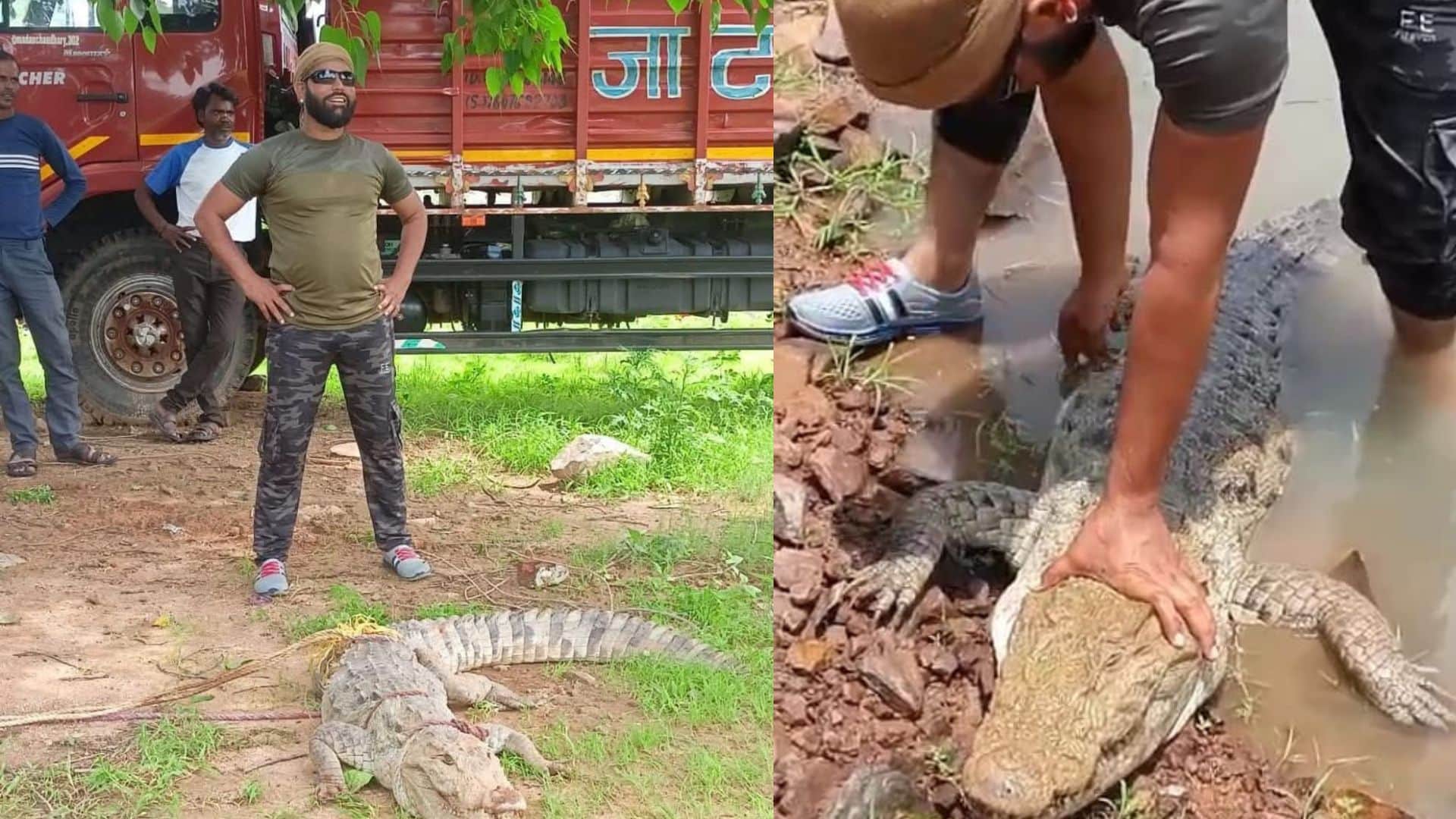 वन विभाग ने मगरमच्छ का किया रेस्क्यू