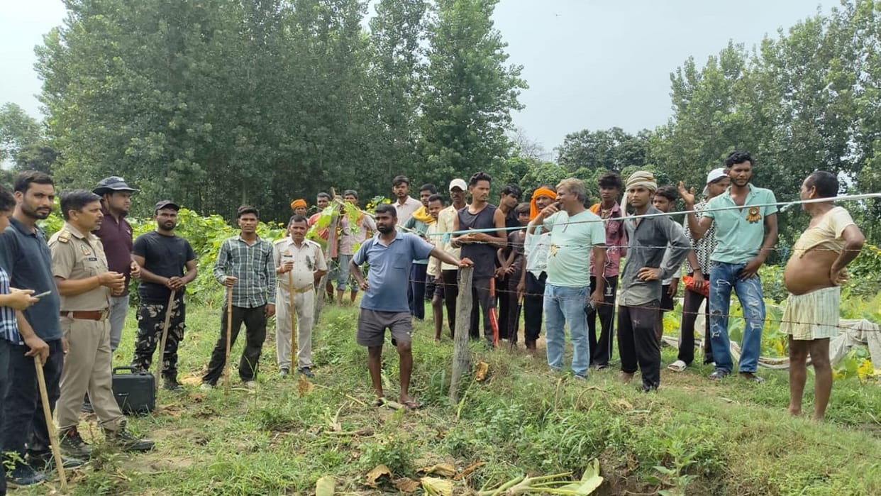 tigress came into the courtyard of the house at midnight panic spread among the villagers in Pilibhit