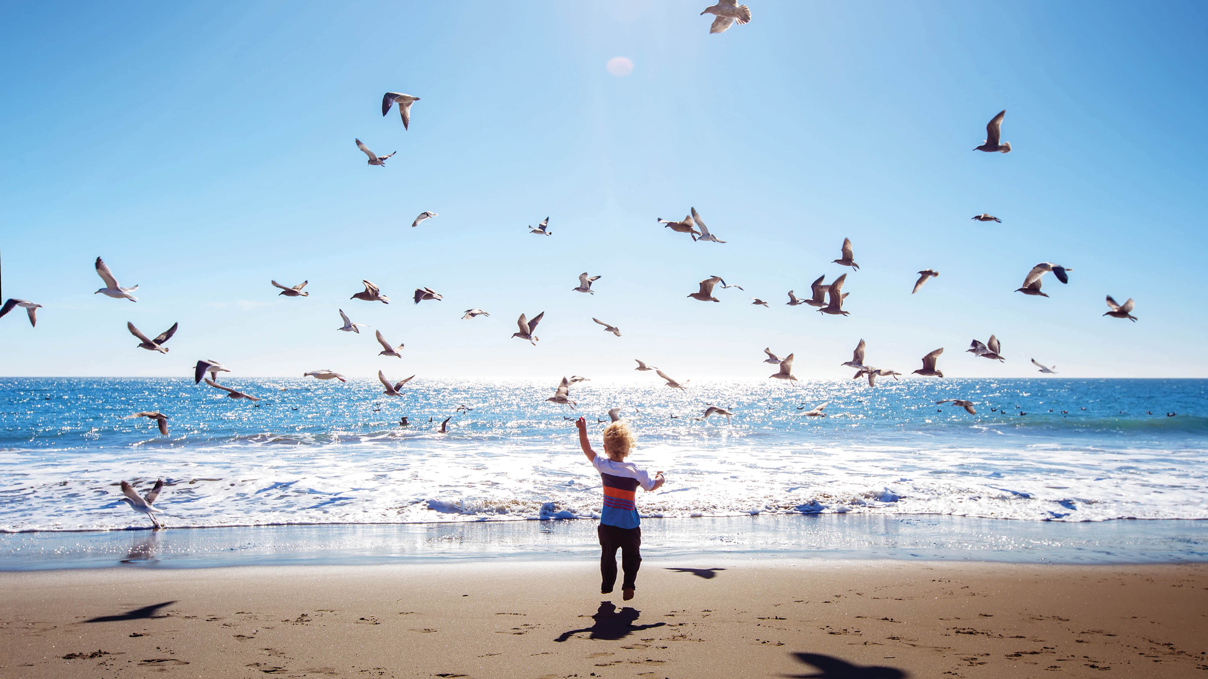 वायरल काव्य