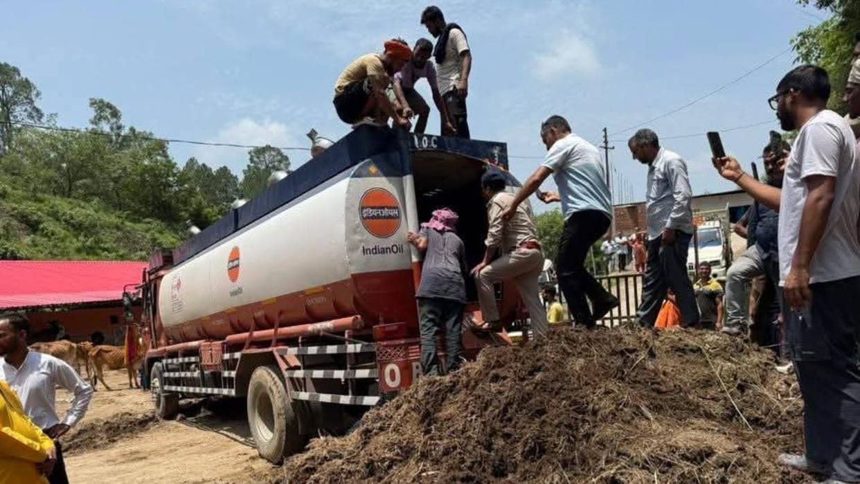 Cow smuggling racket busted in Himachal Oil tanker filled with cattle caught on Punjab border