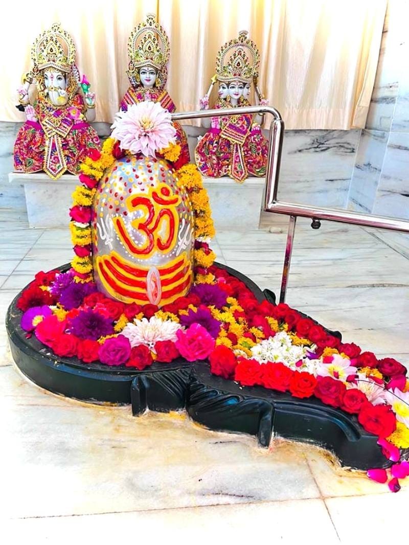 जानें राजस्थान के 251 किलो पारे से बने पारदेश्वर महादेव की विशेषता