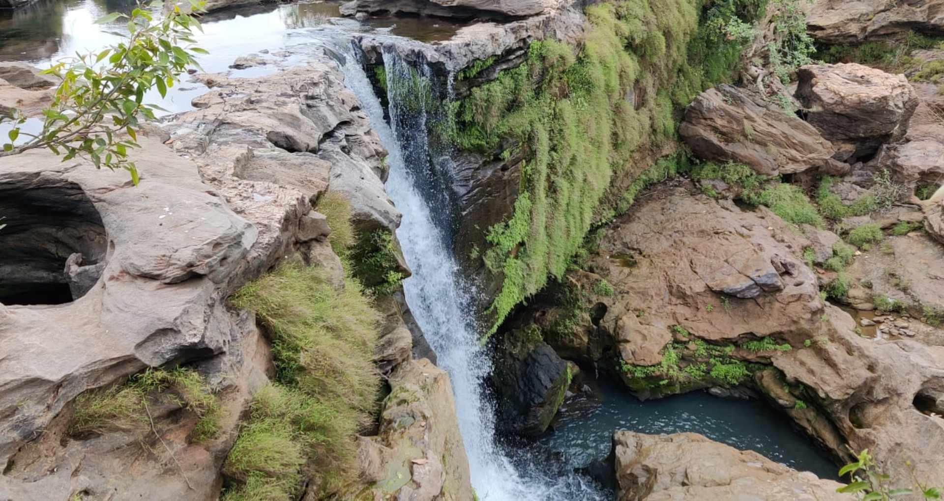 MP News Monsoon Update Vindhya Johila Jhojha and Kodar Waterfalls Emerge as Top Tourist Attractions See Photos