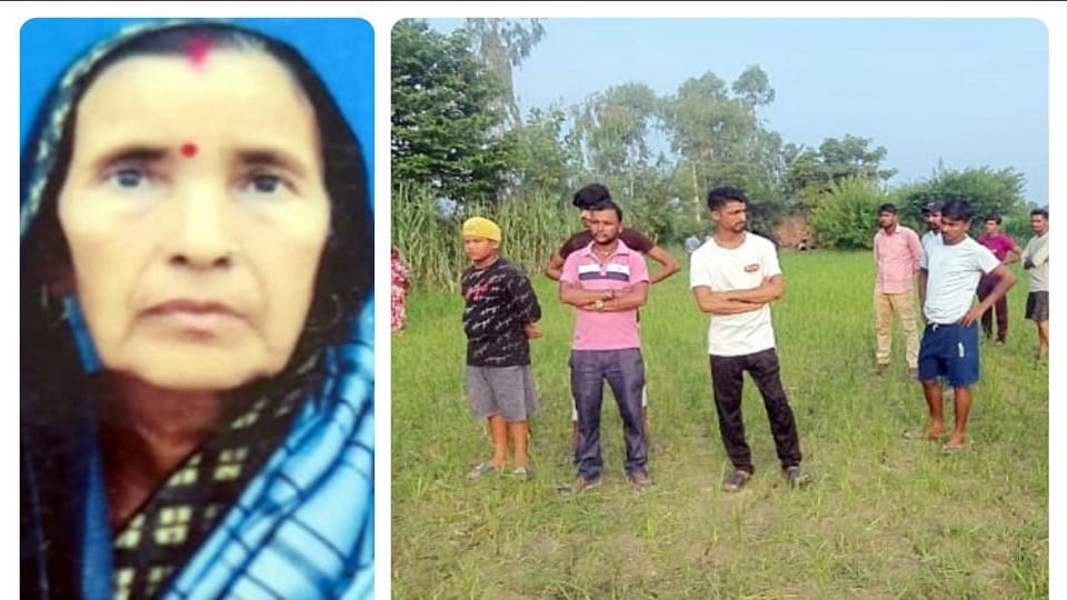 Bijnor: Stray dogs tore a woman to death, villagers kept watching, blood and hair scattered far and wide