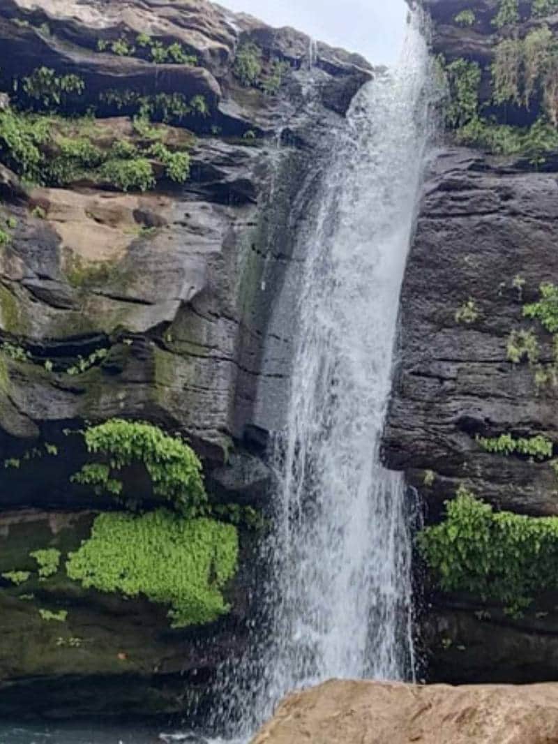 मध्य प्रदेश के ये झरने बनें मानसून में पर्यटकों की पहली पसंद