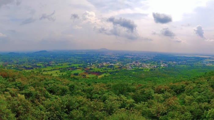 Indore News: हरियाली अमावस्या पर इंदौर ने ओढ़ी हरियाली की चादर, देखें अनदेखे नजारे Indore News: City Celebrates Hariyali Amavasya with Devotion, Joy and Greenery All Around