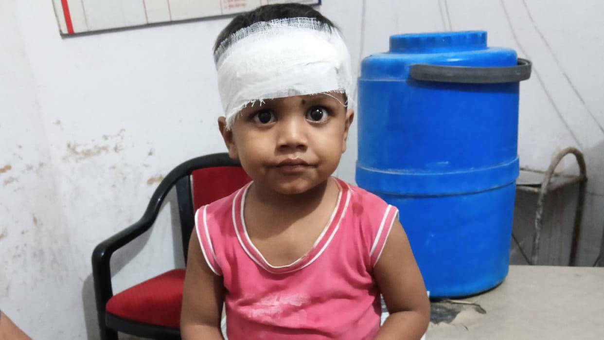 Four-year-old child injured in dog attack woman and her relative arrested