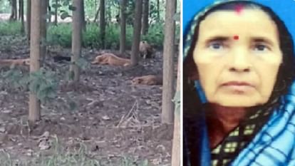 Woman dies in dog attack daughter in law faints after seeing her dead body