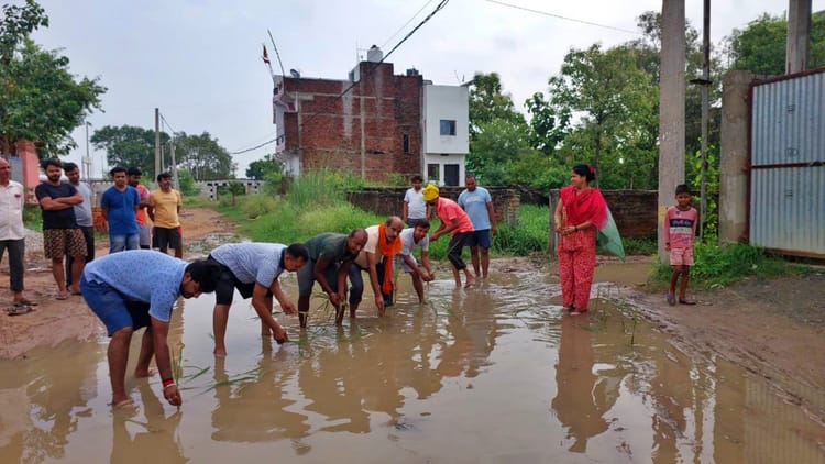 Bihar News: जलभराव को लेकर फूटा लोगों गुस्सा, कीचड़ भरी सड़क पर रोपे धान; नेताओं को सुनाई खरी-खोटी