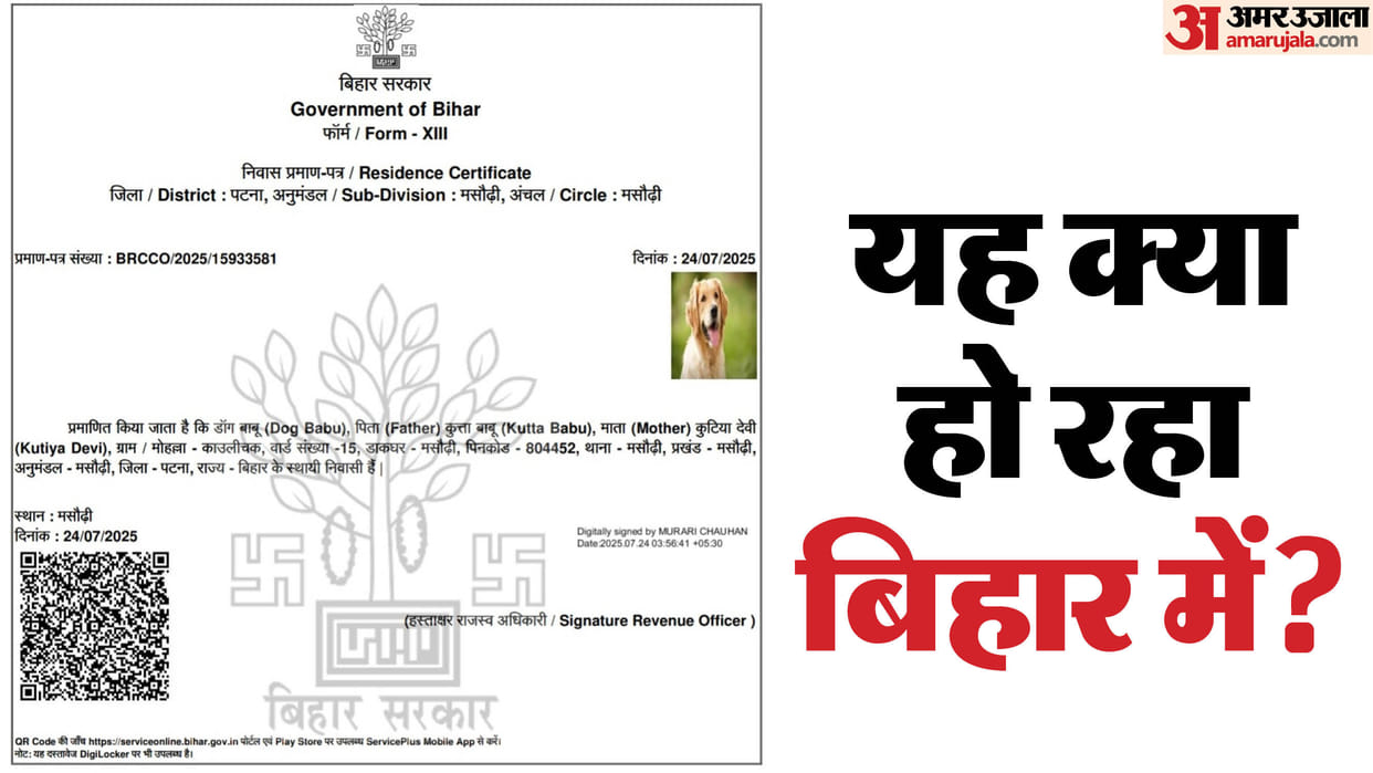 Bihar News: DOG Babu residence certificate made in Bihar, Masaurhi zone of Patna, district administration