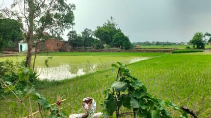 man killed his parents and sister with an axe In Ghazipur Two more minutes and three corpses were laid down