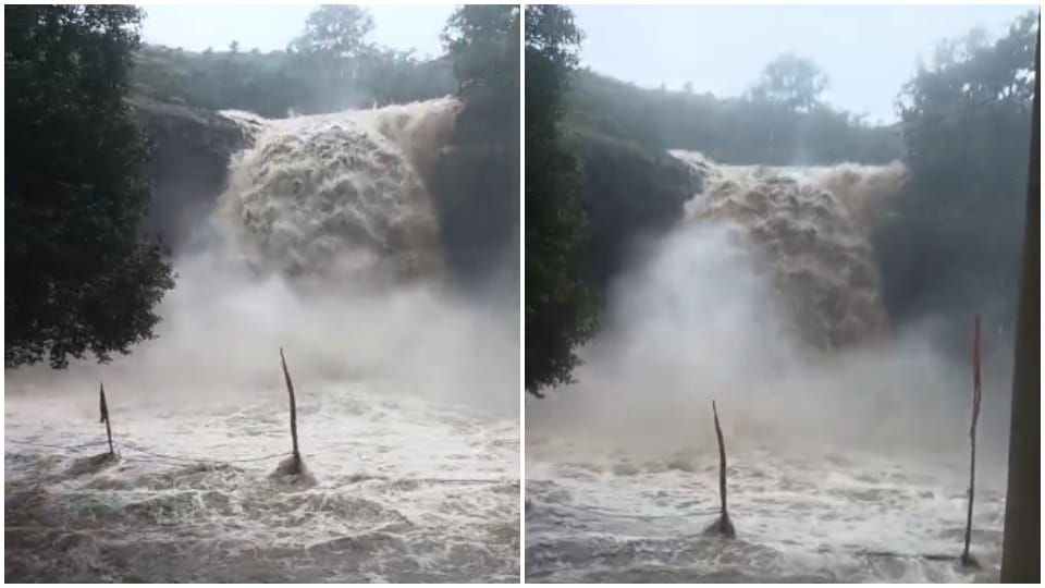 Sawan 2025: Kedarneshwar Mahadev Waterfall Turns Fierce in Ratlam, 289-Year-Old Temple Submerged