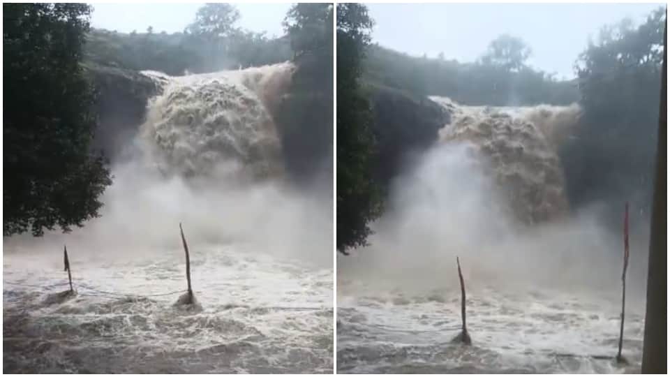 केदारेश्वर महादेव झरने का तेज बहाव।