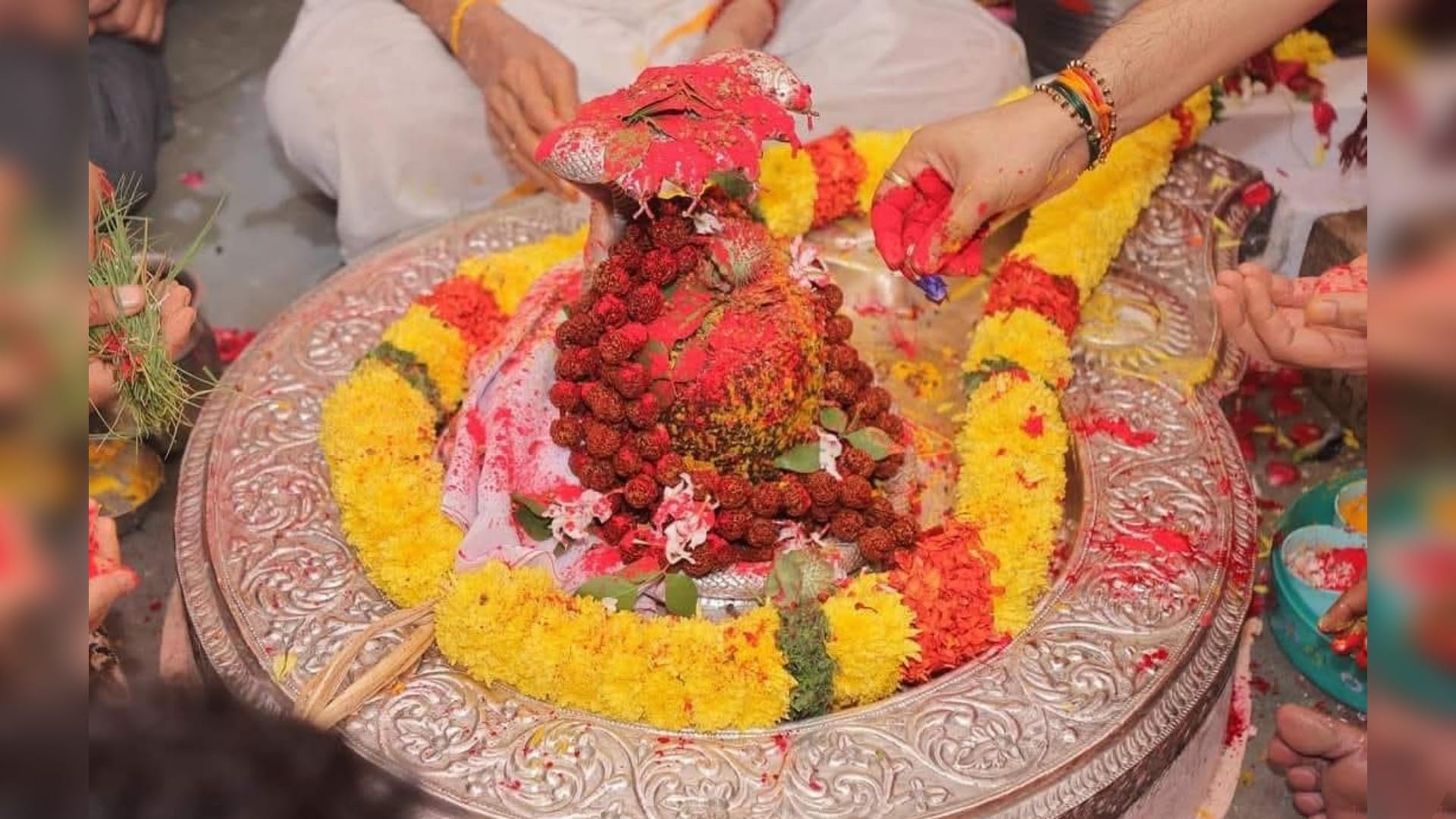 Nag Panchami: Shri Nagchandreshwar temple doors opened as soon as 12 o'clock, devotees gathered for darshan