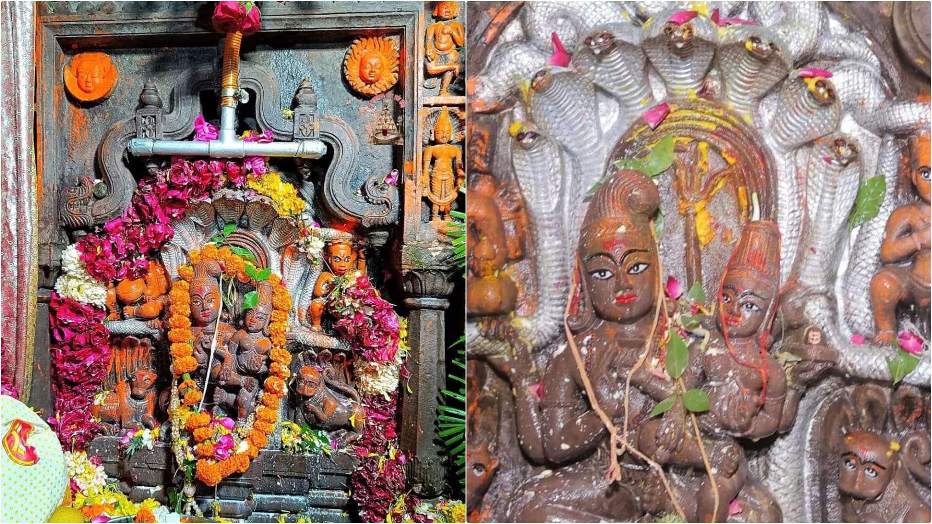 Nag Panchami: Shri Nagchandreshwar temple doors opened as soon as 12 o'clock, devotees gathered for darshan