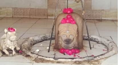 वन खंडेश्वर महादेव मंदिर